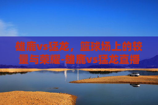 雄鹿vs猛龙，篮球场上的较量与荣耀-雄鹿vs猛龙直播