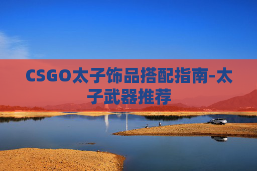 CSGO太子饰品搭配指南-太子武器推荐