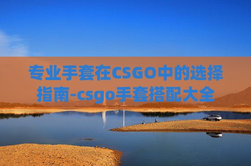 专业手套在CSGO中的选择指南-csgo手套搭配大全