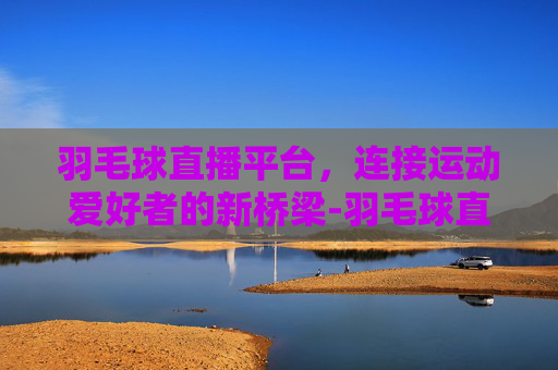 羽毛球直播平台，连接运动爱好者的新桥梁-羽毛球直播平台有哪些