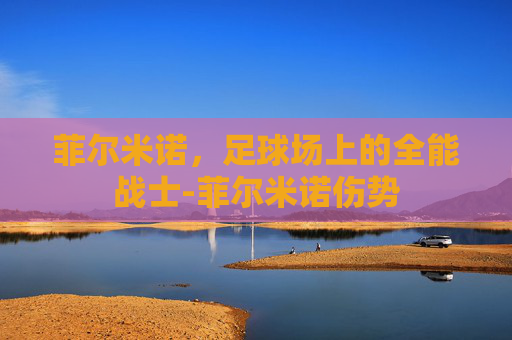 菲尔米诺，足球场上的全能战士-菲尔米诺伤势