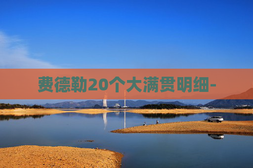 费德勒20个大满贯明细-