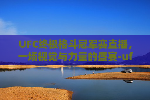 UFC终极格斗冠军赛直播，一场视觉与力量的盛宴-ufc终极格斗冠军赛直播视频