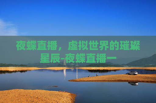 夜蝶直播，虚拟世界的璀璨星辰-夜蝶直播一