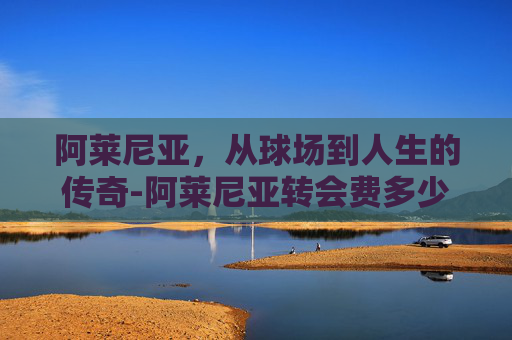 阿莱尼亚，从球场到人生的传奇-阿莱尼亚转会费多少