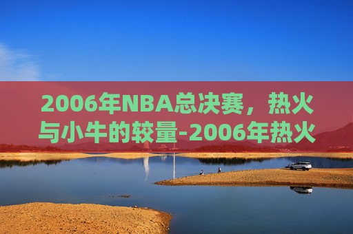 2006年NBA总决赛，热火与小牛的较量-2006年热火和小牛