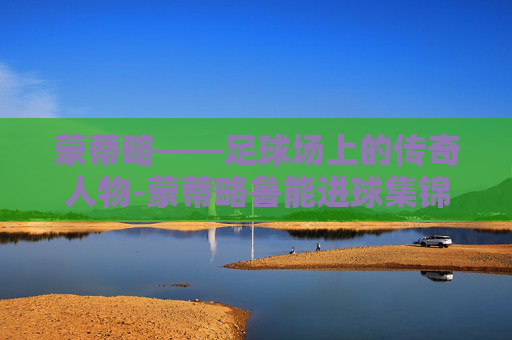 蒙蒂略——足球场上的传奇人物-蒙蒂略鲁能进球集锦