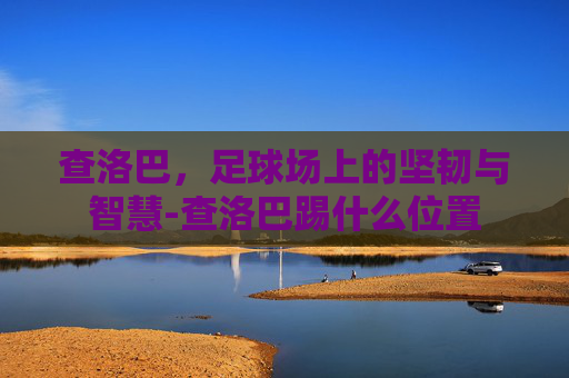 查洛巴，足球场上的坚韧与智慧-查洛巴踢什么位置