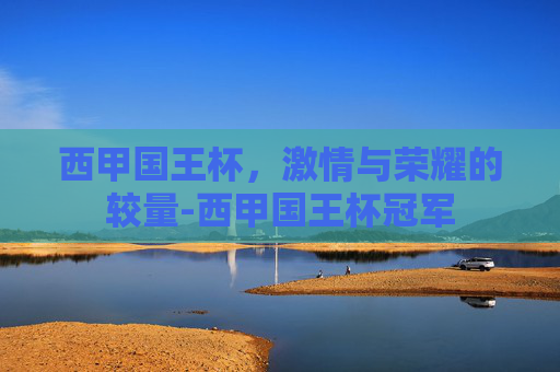 西甲国王杯，激情与荣耀的较量-西甲国王杯冠军