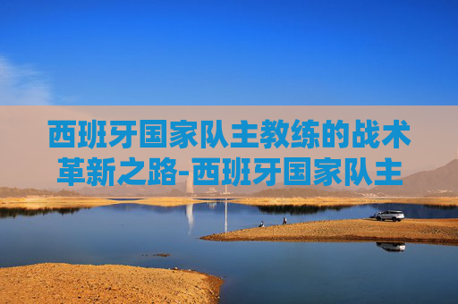 西班牙国家队主教练的战术革新之路-西班牙国家队主教练德拉富恩特