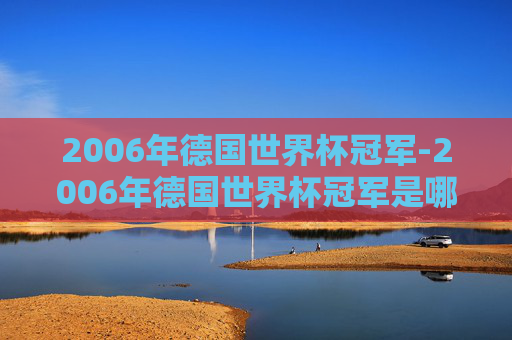 2006年德国世界杯冠军-2006年德国世界杯冠军是哪支球队