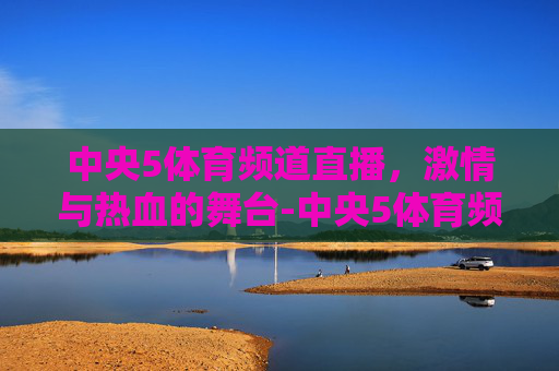 中央5体育频道直播，激情与热血的舞台-中央5体育频道直播现场直播