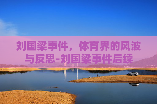 刘国梁事件，体育界的风波与反思-刘国梁事件后续