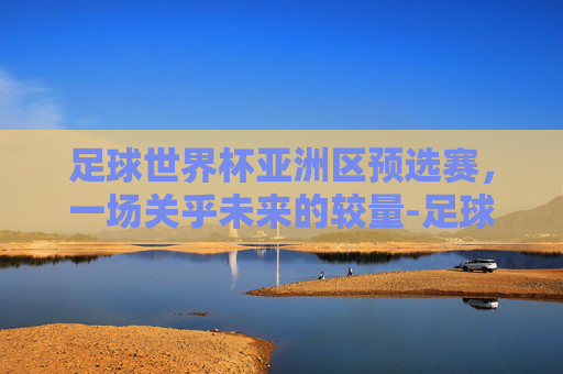 足球世界杯亚洲区预选赛，一场关乎未来的较量-足球世界杯亚洲区预选赛赛程