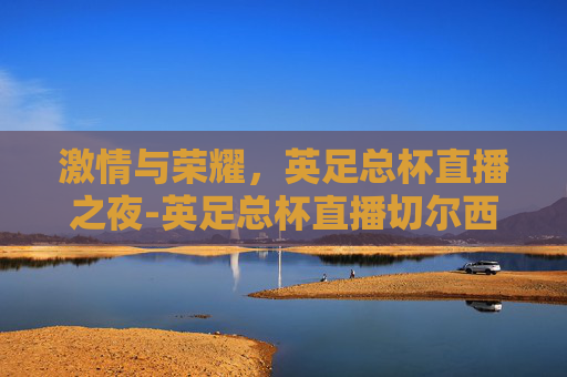 激情与荣耀，英足总杯直播之夜-英足总杯直播切尔西VS曼城