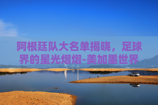 阿根廷队大名单揭晓，足球界的星光熠熠-美加墨世界杯阿根廷队大名单