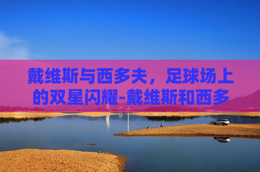 戴维斯与西多夫，足球场上的双星闪耀-戴维斯和西多夫谁厉害 虎扑