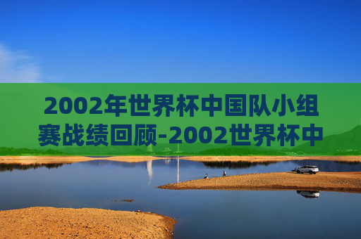 2002年世界杯中国队小组赛战绩回顾-2002世界杯中国队小组赛战绩如何