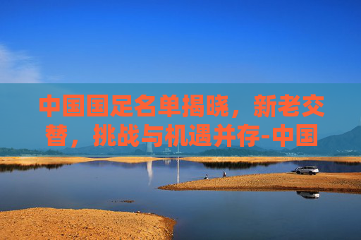 中国国足名单揭晓，新老交替，挑战与机遇并存-中国国足名单一览表