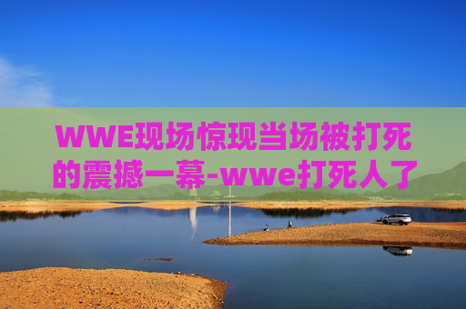 WWE现场惊现当场被打死的震撼一幕-wwe打死人了吗