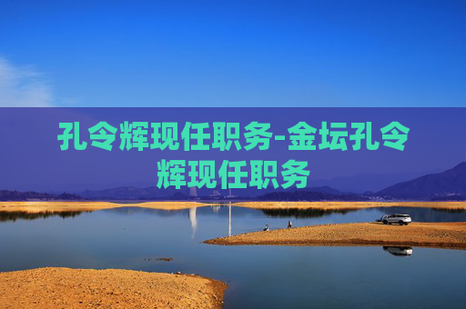 孔令辉现任职务-金坛孔令辉现任职务
