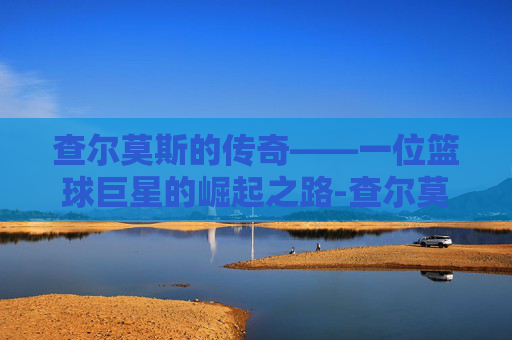 查尔莫斯的传奇——一位篮球巨星的崛起之路-查尔莫斯游泳