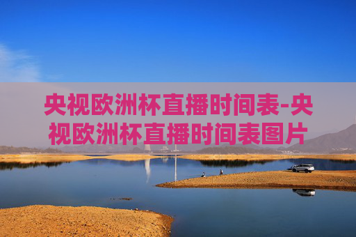 央视欧洲杯直播时间表-央视欧洲杯直播时间表图片