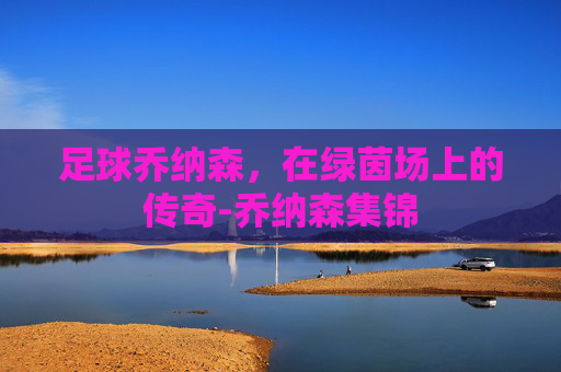 足球乔纳森，在绿茵场上的传奇-乔纳森集锦