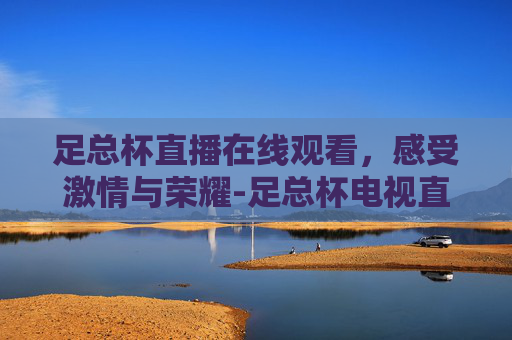 足总杯直播在线观看，感受激情与荣耀-足总杯电视直播