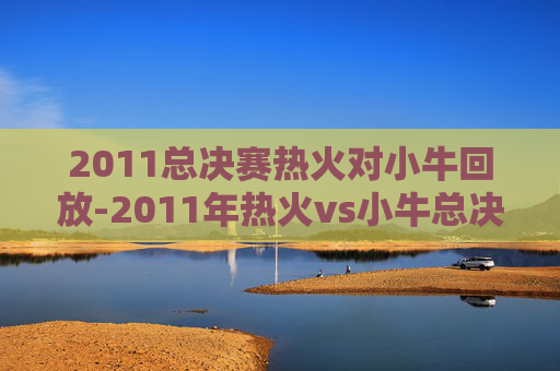2011总决赛热火对小牛回放-2011年热火vs小牛总决赛