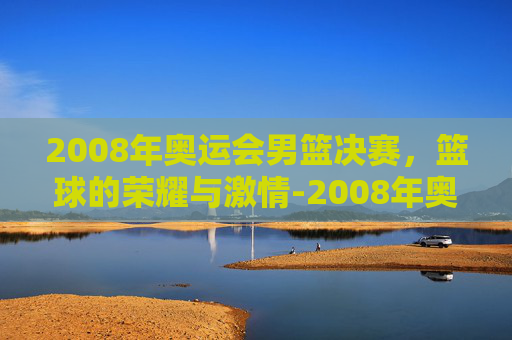 2008年奥运会男篮决赛，篮球的荣耀与激情-2008年奥运会男篮决赛数据