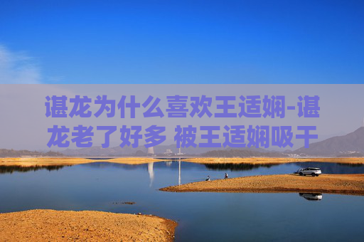 谌龙为什么喜欢王适娴-谌龙老了好多 被王适娴吸干了