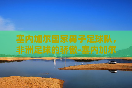 塞内加尔国家男子足球队，非洲足球的骄傲-塞内加尔国家足球队大名单