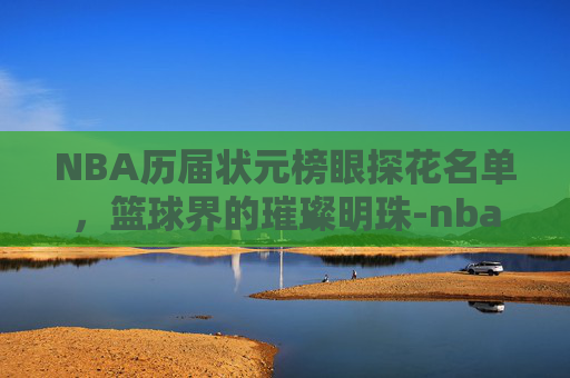 NBA历届状元榜眼探花名单，篮球界的璀璨明珠-nba2009状元榜眼探花