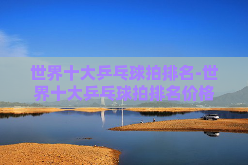 世界十大乒乓球拍排名-世界十大乒乓球拍排名价格