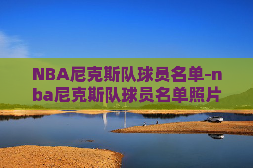 NBA尼克斯队球员名单-nba尼克斯队球员名单照片