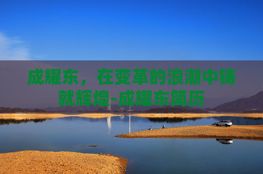 成耀东，在变革的浪潮中铸就辉煌-成耀东简历