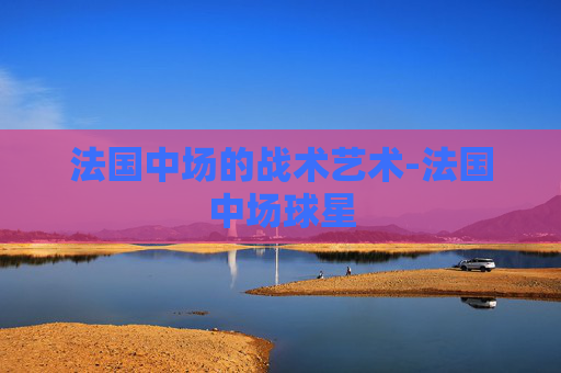 法国中场的战术艺术-法国中场球星