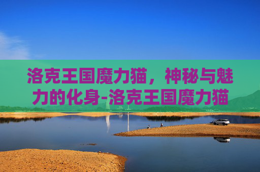 洛克王国魔力猫，神秘与魅力的化身-洛克王国魔力猫怎么进化成武斗灵猫