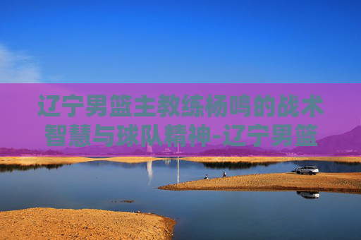 辽宁男篮主教练杨鸣的战术智慧与球队精神-辽宁男篮主教练杨鸣年薪