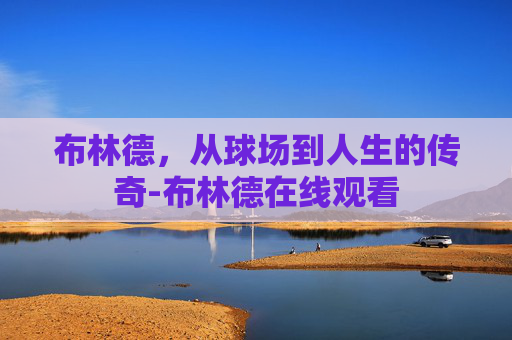 布林德，从球场到人生的传奇-布林德在线观看