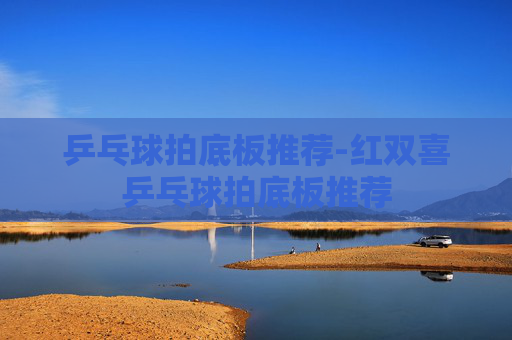 乒乓球拍底板推荐-红双喜乒乓球拍底板推荐