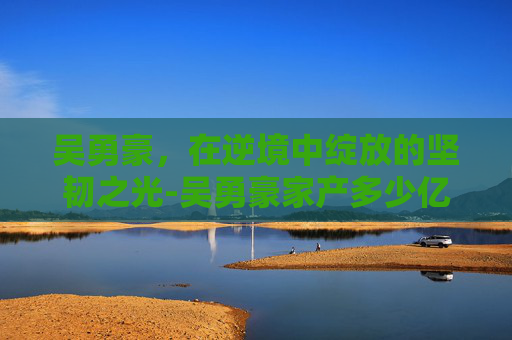 吴勇豪，在逆境中绽放的坚韧之光-吴勇豪家产多少亿