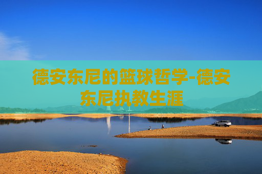 德安东尼的篮球哲学-德安东尼执教生涯