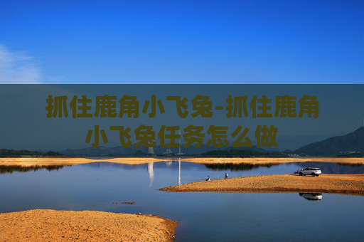 抓住鹿角小飞兔-抓住鹿角小飞兔任务怎么做