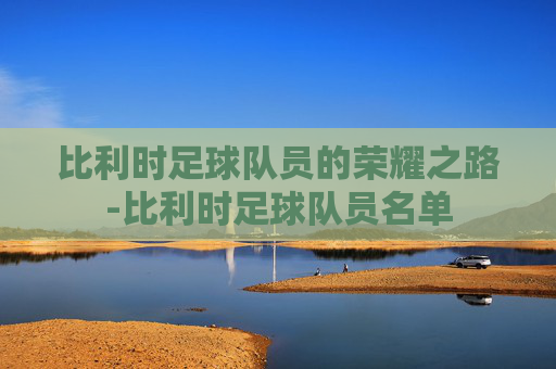 比利时足球队员的荣耀之路-比利时足球队员名单