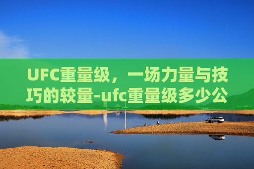UFC重量级，一场力量与技巧的较量-ufc重量级多少公斤