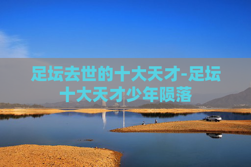 足坛去世的十大天才-足坛十大天才少年陨落