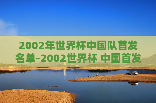 2002年世界杯中国队首发名单-2002世界杯 中国首发