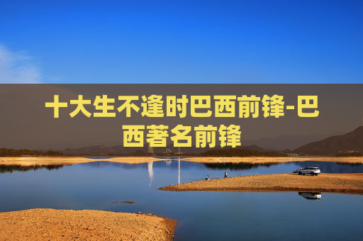 十大生不逢时巴西前锋-巴西著名前锋